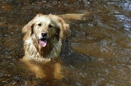 Foto Acqua natura capelli giocare