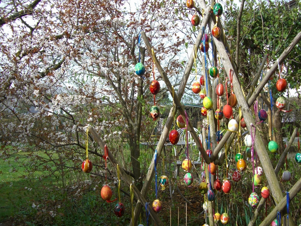 Arbre bifurquer fleurir usine