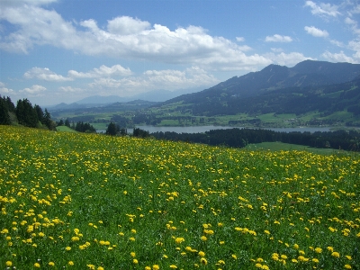 Landscape nature grass horizon Photo