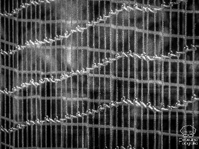 Abstract fence black and white line Photo