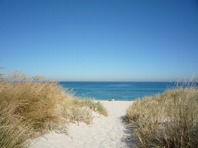 Beach sea coast grass Photo