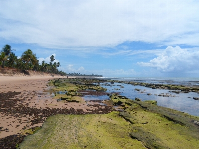 Beach landscape sea coast Photo