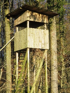 木 森 小屋 小屋
 写真