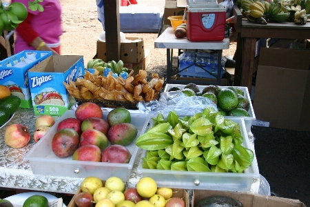 Plant fruit city food Photo