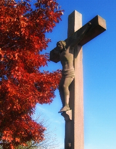 Tree symbol church cross Photo