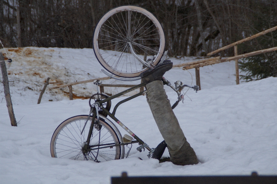 雪 冬 秋 自転車