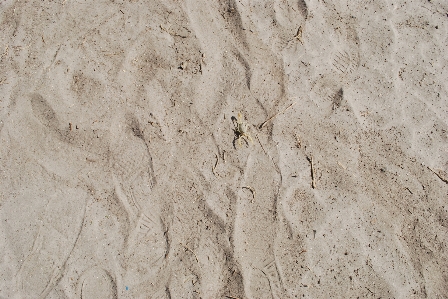 Beach nature sand rock Photo