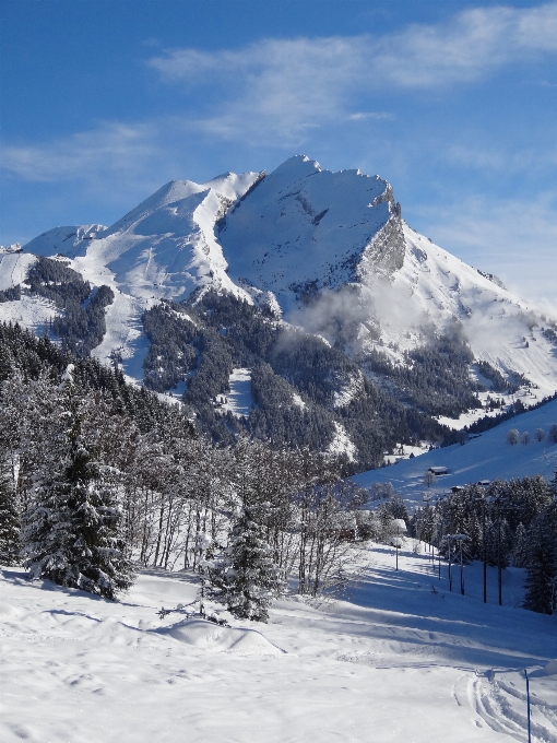 景观 自然 山 雪