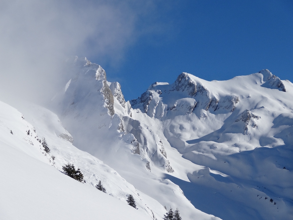 山 雪 冬天 白色的