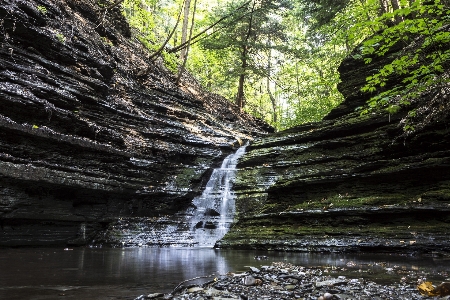 Water nature forest rock Photo