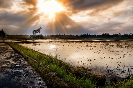 Landscape sea coast water Photo