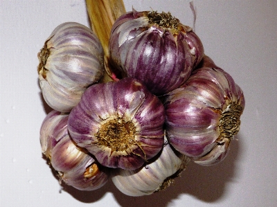 Foto Pianta fiore cibo spezia