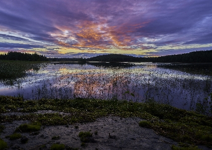 Landscape water nature grass Photo