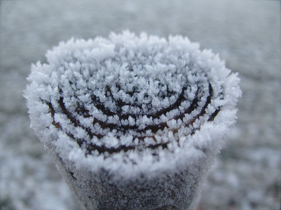 Schnee kalt winter weiss