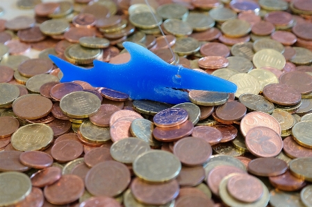 Metal money blue fish Photo