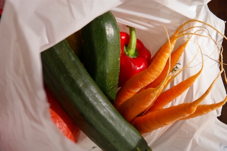 Plant flower dish meal Photo