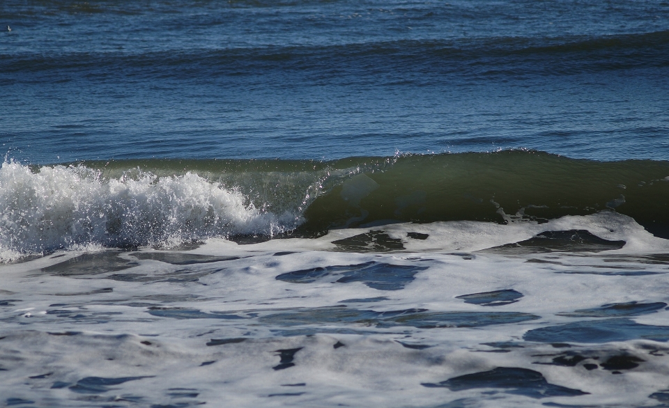 Beach sea coast water