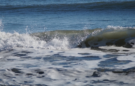 Beach sea coast water Photo