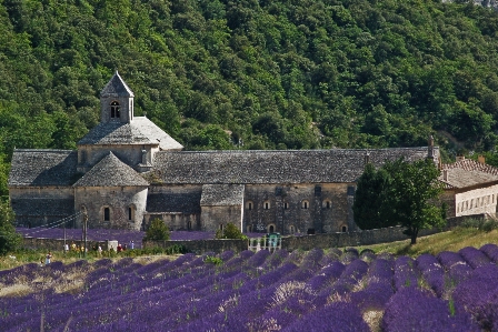 Farm flower building valley Photo