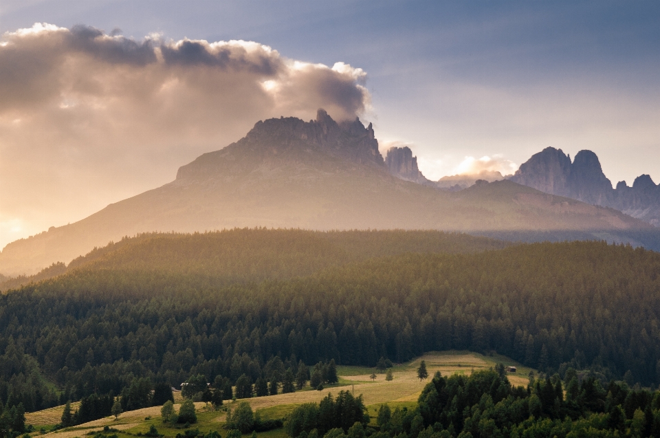 Landschaft natur wald wildnis
