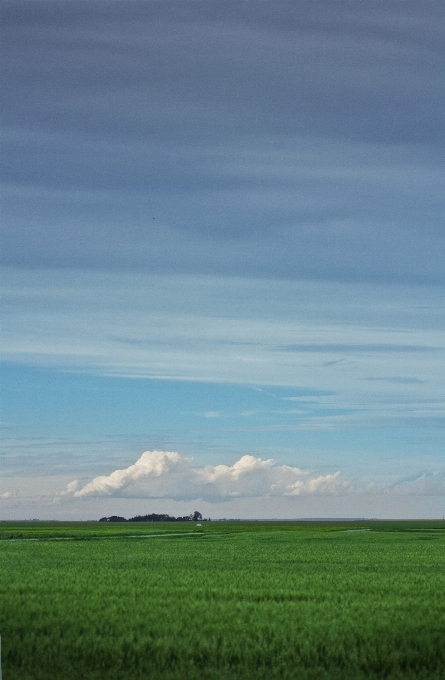 Landscape grass horizon cloud