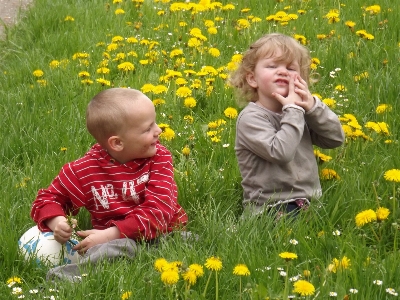 Grass people plant girl Photo