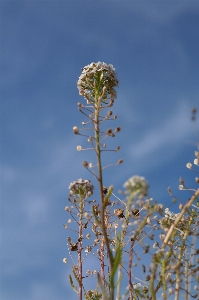 Tree nature grass branch Photo