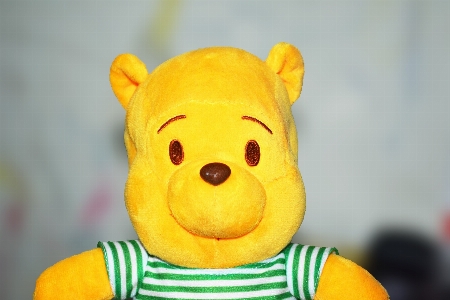 Cute yellow toy teddy bear Photo