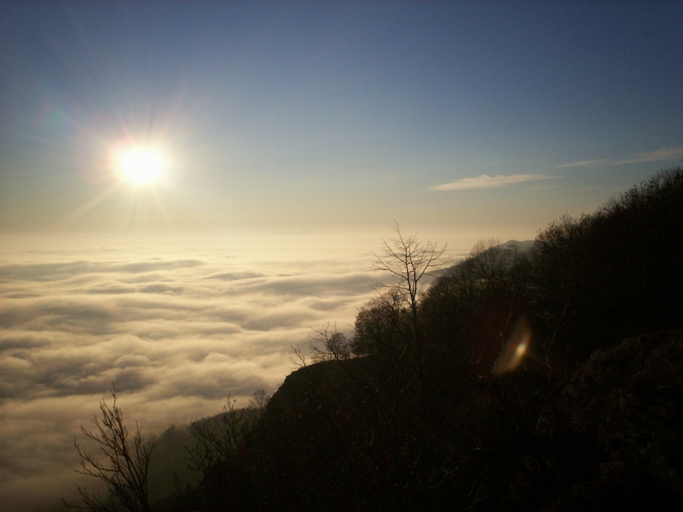 Nature forest horizon mountain