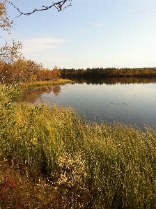 Landscape tree water nature Photo