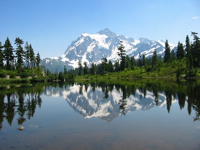 Landscape tree water nature Photo