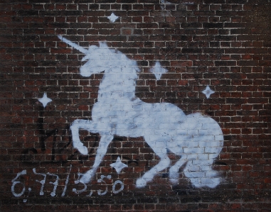 Animal wall horse graffiti Photo