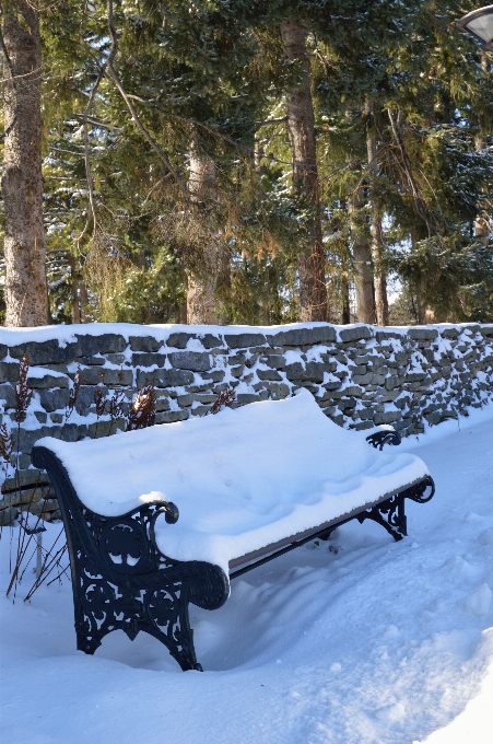 All'aperto nevicare freddo inverno