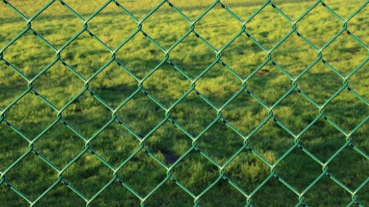 Grass fence lawn texture Photo