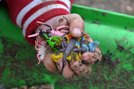 Hand kid green dirt Photo