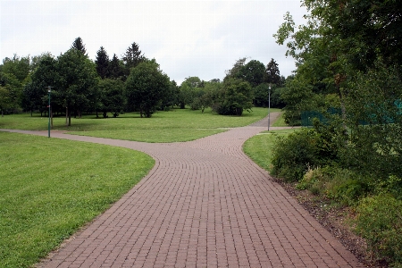 Grass fork structure road Photo