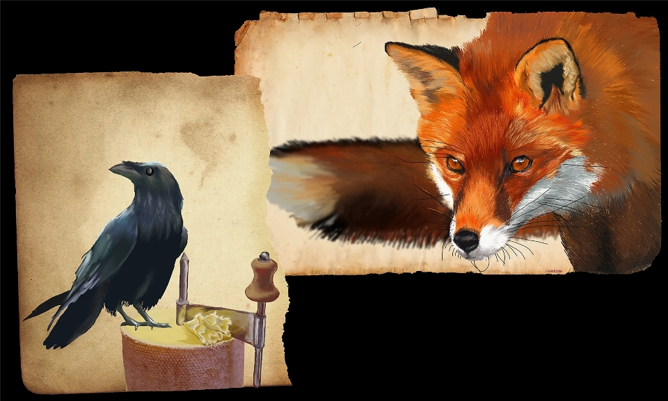 Mammal fox fauna illustration