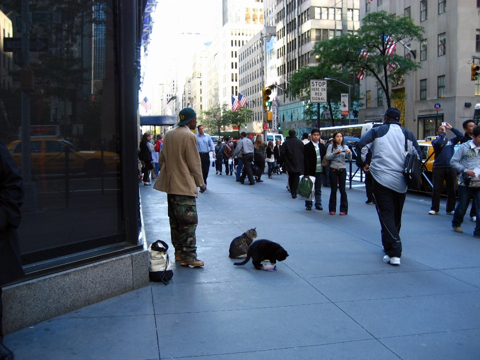 Pedestrian road street city