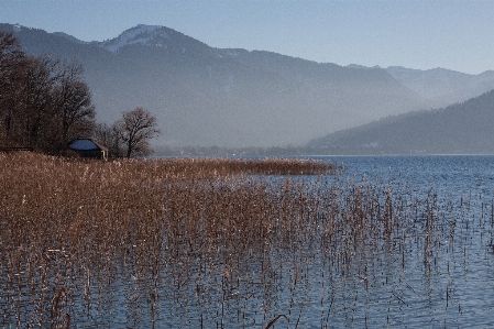 Landscape tree water nature Photo