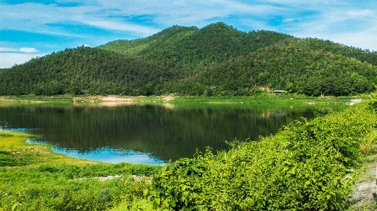 풍경 황야
 산 목초지
 사진