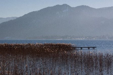 風景 海 海岸 水 写真