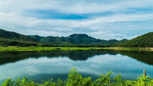 Landscape tree water nature Photo