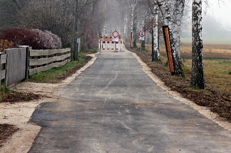 Ağaç yol iz kaldırım
 Fotoğraf