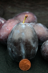 Plant fruit leaf food Photo