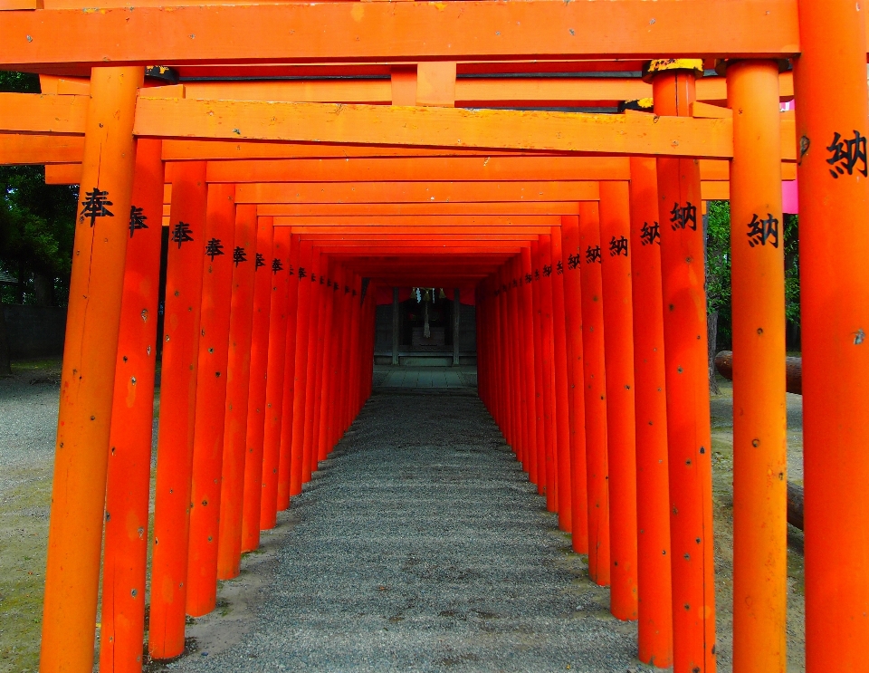 Red japan interior design shrine