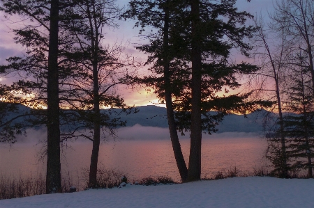 Landscape tree water nature Photo