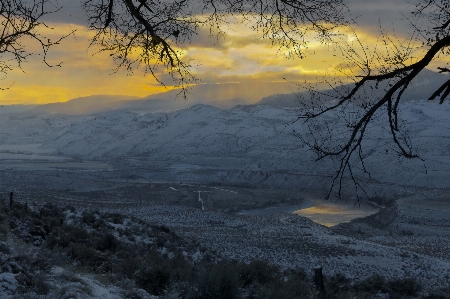 Landscape tree water nature Photo