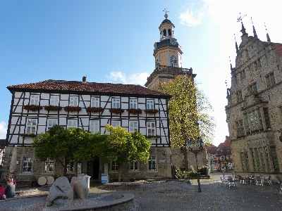 Tree architecture town building Photo