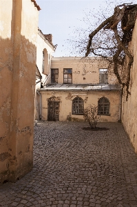 Architecture road street house Photo