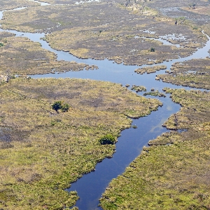 Marsh swamp wilderness lake Photo